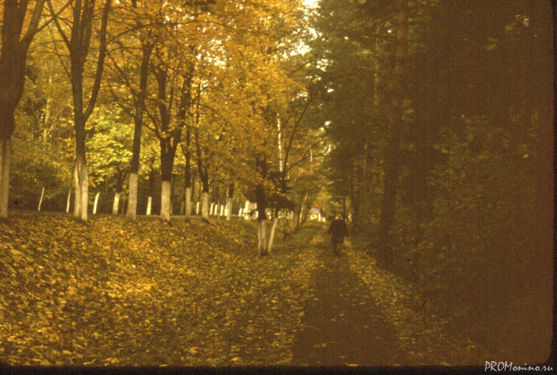 Scan 130108 0011 Scan 130108 0011