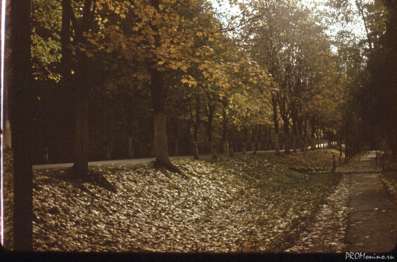 Scan 130108 0046 Scan 130108 0046