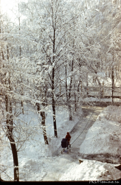 Scan 130108 0086
